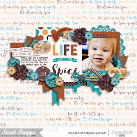 spice-of-lifewm.jpg