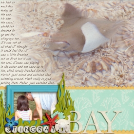 stingray-bay-600.jpg