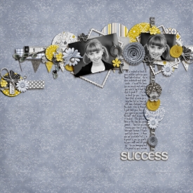 successweb.jpg