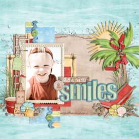 sunsandsmilesweb.jpg