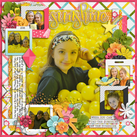 sunshineMOC_700web.jpg