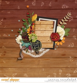 sys-thanksgivingWebWM.jpg