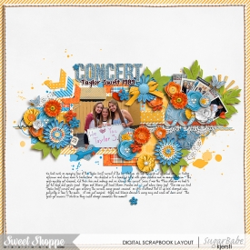 taylorswiftconcert2015_700wm.jpg