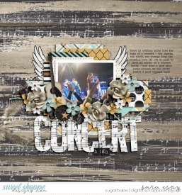 that-concert-high-wm.jpg