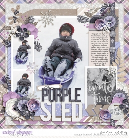 the-purple-sled-wm.jpg