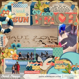 themedbeachWebWM.jpg