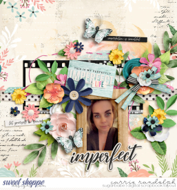 trailblazer-imperfectWebWM.jpg