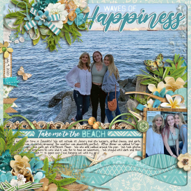wavesofhappiness_700web.jpg