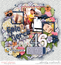 week-46-copy.jpg