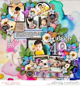 week-49-copy.jpg
