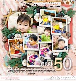 week-50-copy.jpg