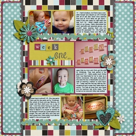 weekone2011web.jpg