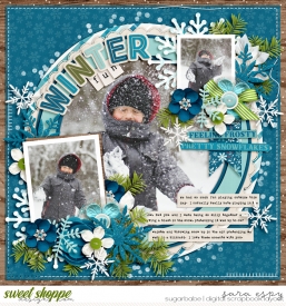 winter-fun-wm.jpg