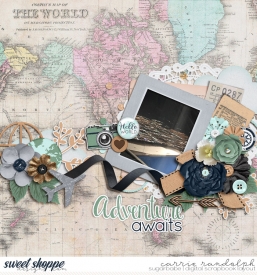 worldtravelerWebWM.jpg