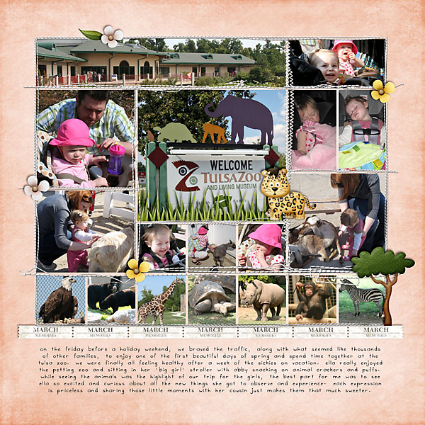 tvictor-safari2-copy