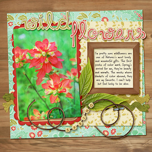 wildflowers-copy