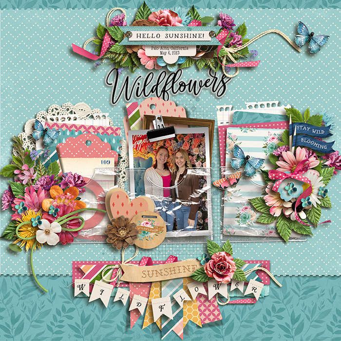 wildflowers_700web1