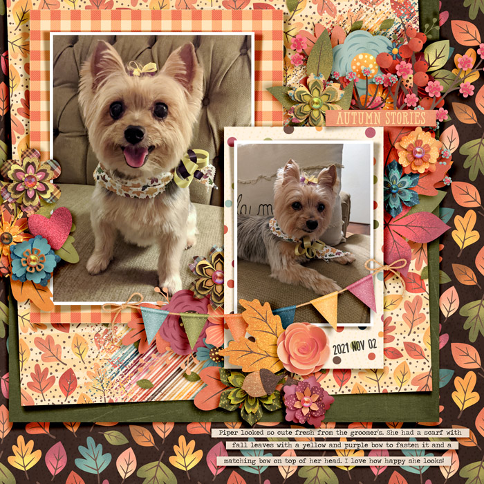 AutumnStories_Piper_2021-11-02