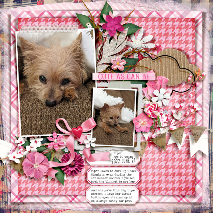 CuteAsCanBe_Piper_2022-06-21