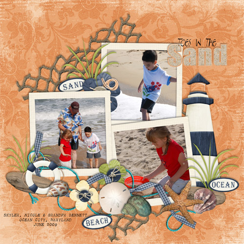 DST_Toes_in_the_sand