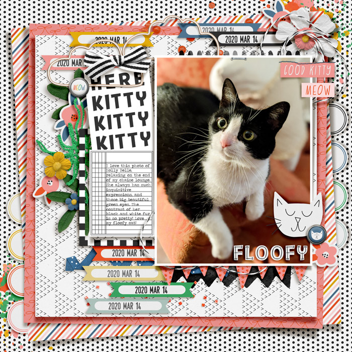 HereKittyKittyKitty_HollyBelle_2020-03-14