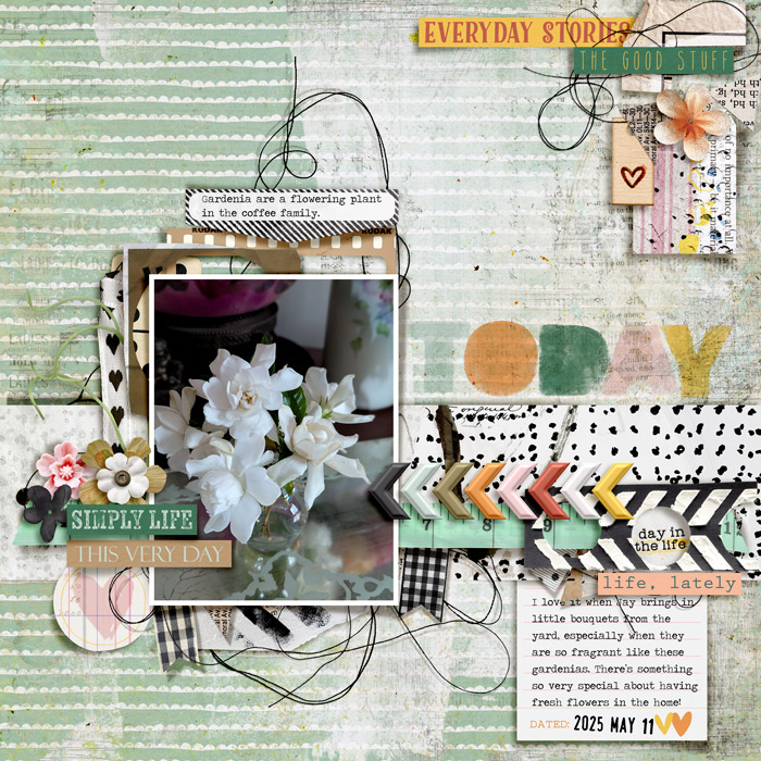 TodaySimplyLife_Gardenias_2025-05-11