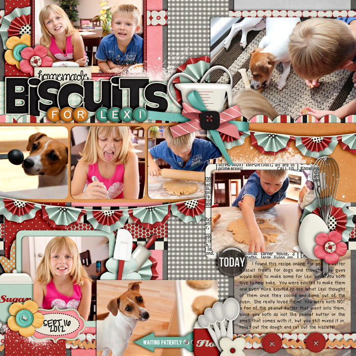 biscuitsforlexweb