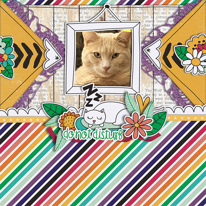 chonk_web