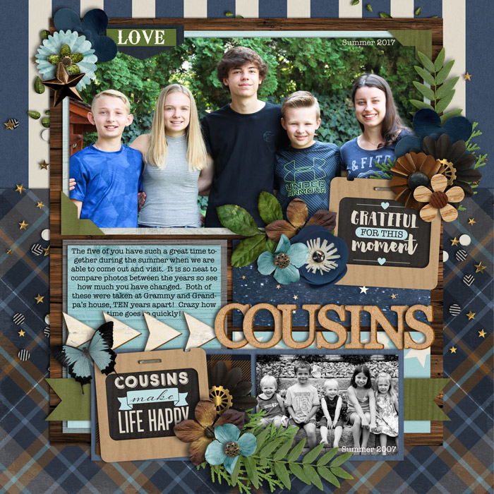 cousins2017web700