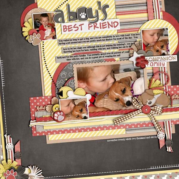 curtislexi2web