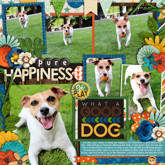 happinessisadogball700web