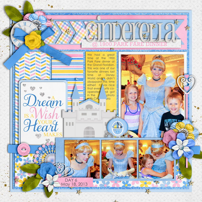 meeting-cinderellaweb700