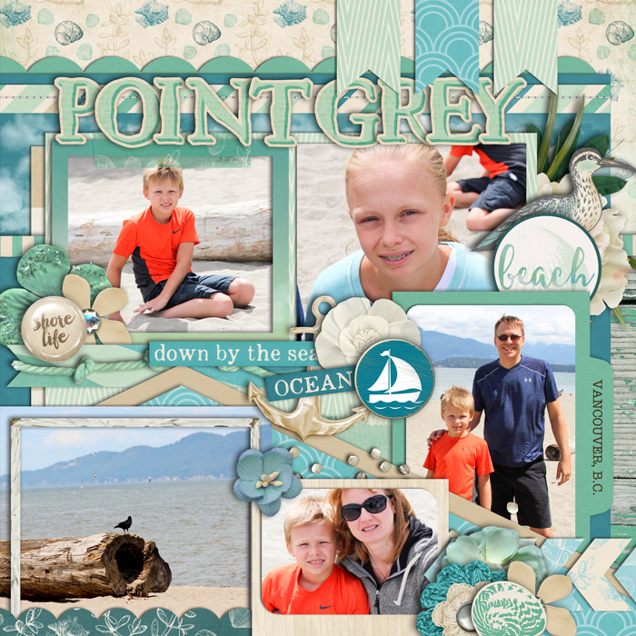 pointgreyrightweb700