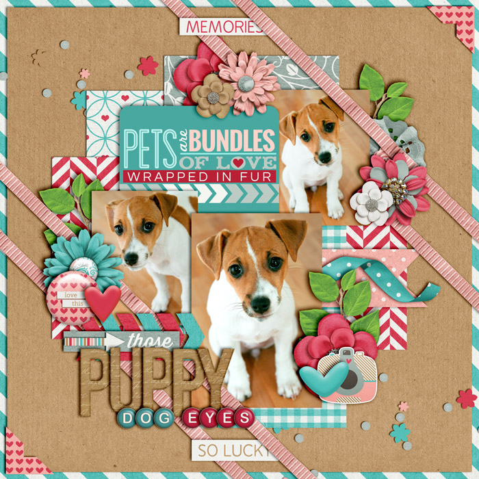 puppydogeyesweb700