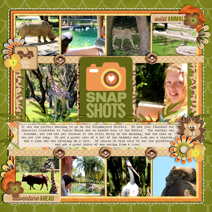 safari-lrightweb700