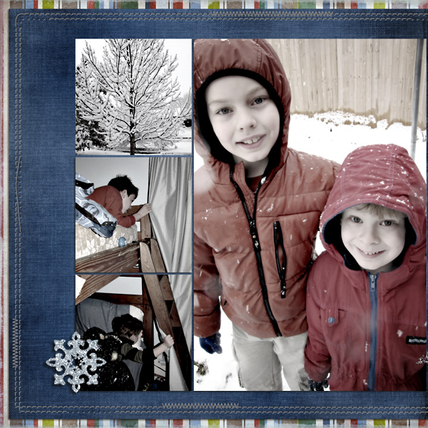 snow2010l