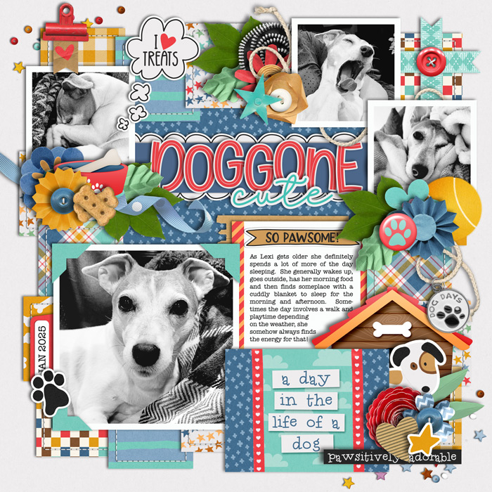 sodoggonecute700