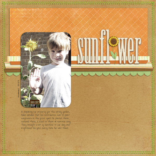 sunflower1