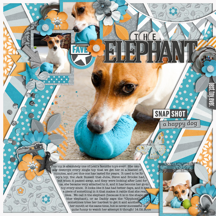 theelephantweb700