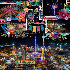 2013-11-08_Fair_WEB.jpg