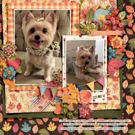 AutumnStories_Piper_2021-11-02.jpg