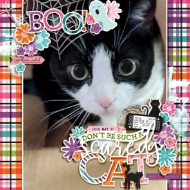 DontBeSuchAScaredyCat_HollyBelle_2020-05-31.jpg