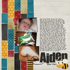 aidenbee.jpg