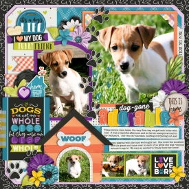 doggoneadorable70web.jpg