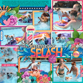 dogsplash-PP62web700.jpg