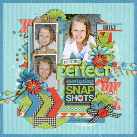 everday-snapshotsweb700.jpg