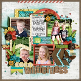 fort-wildernessweb700.jpg