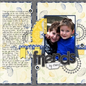 friendsbychoice-web.jpg