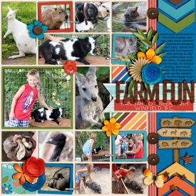 kangaroofarmrightweb700.jpg