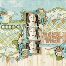 make-a-wishweb.jpg